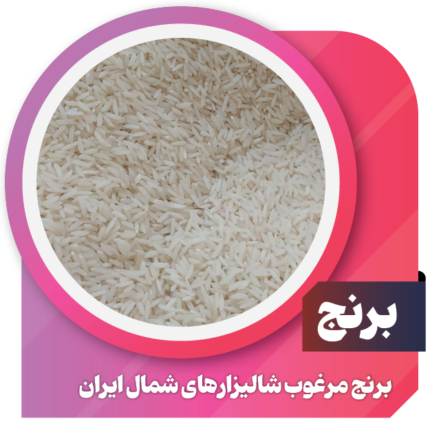 برنج