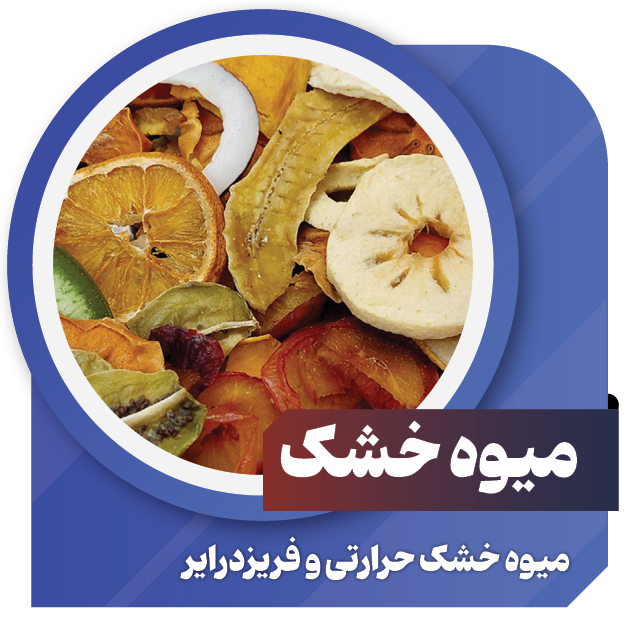 میوه خشک