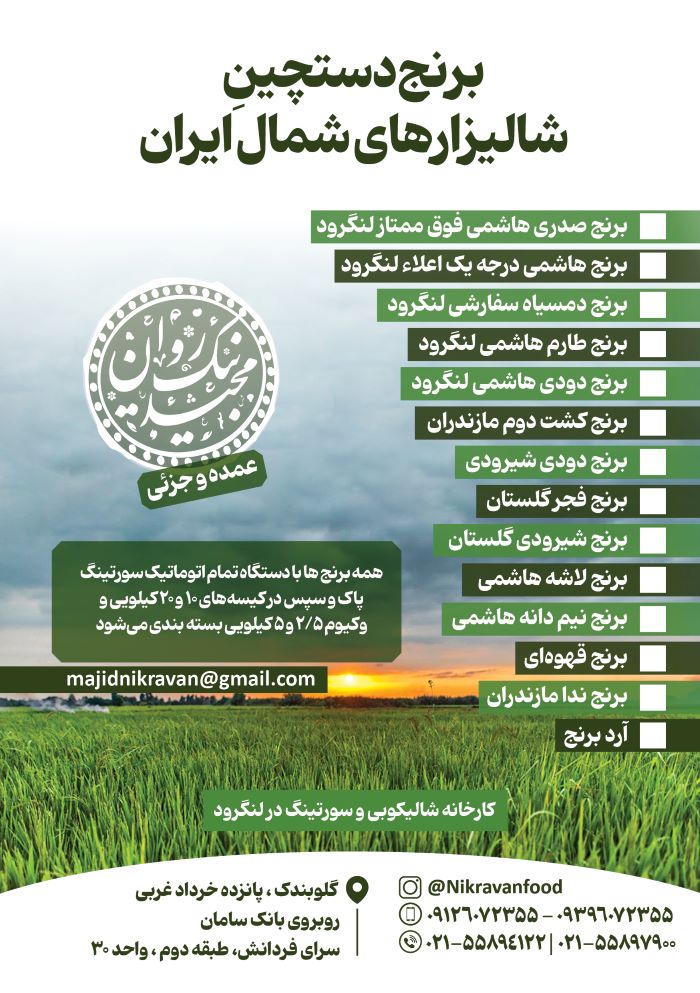 خرید برنج عمده