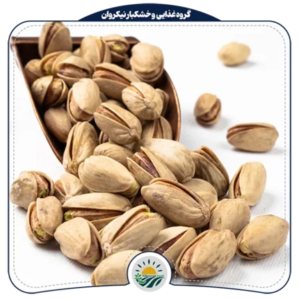 پسته اکبری انس ۲۴ - بسته یک کیلویی