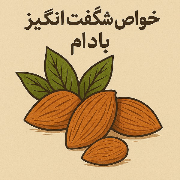 خواص بادام