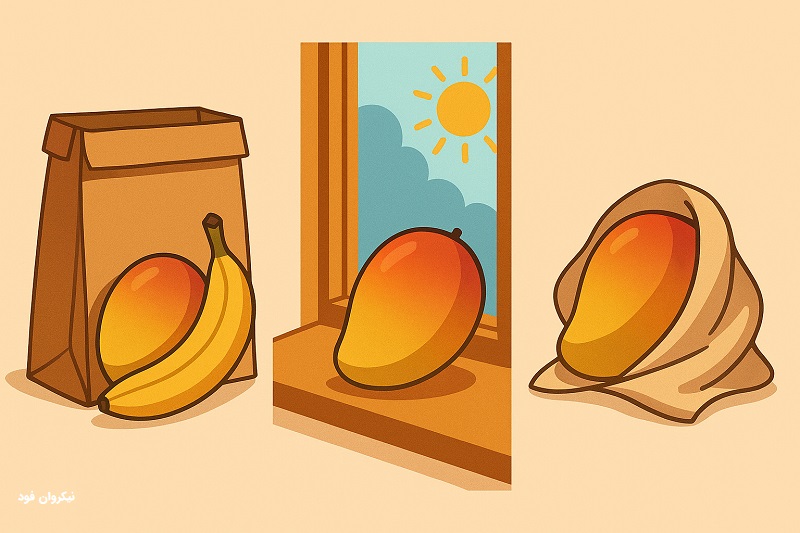 رسیده کردن انبه نرسیده!!