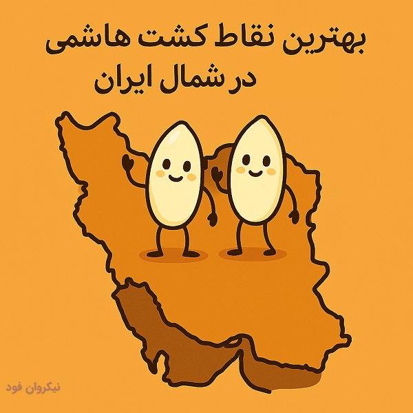 بهترین نقاط کشت برنج هاشمی در شمال ایران