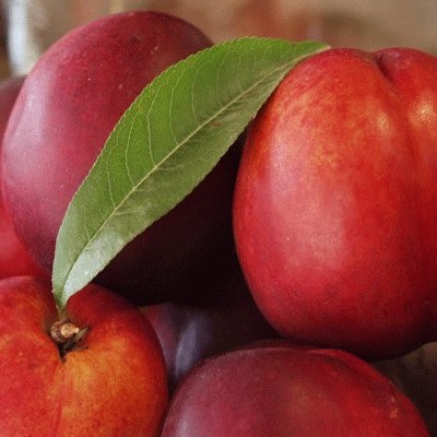 هلو خواصش چیه