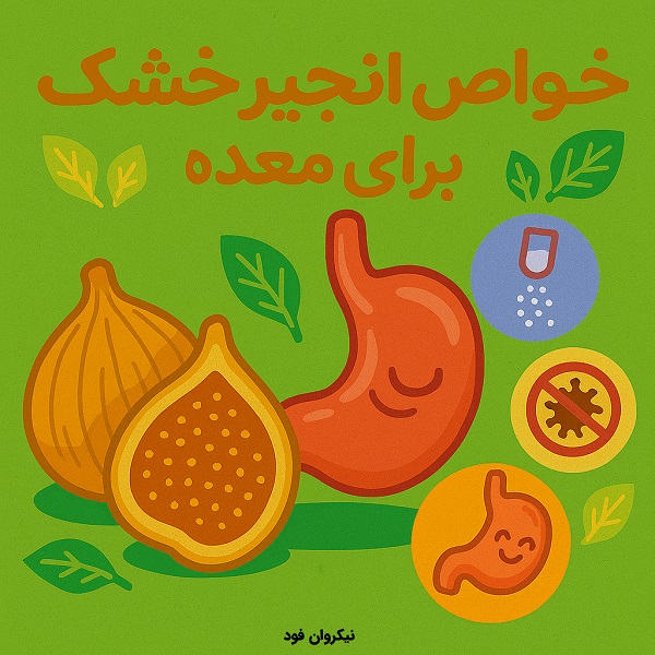 انجیر خشک برای معده
