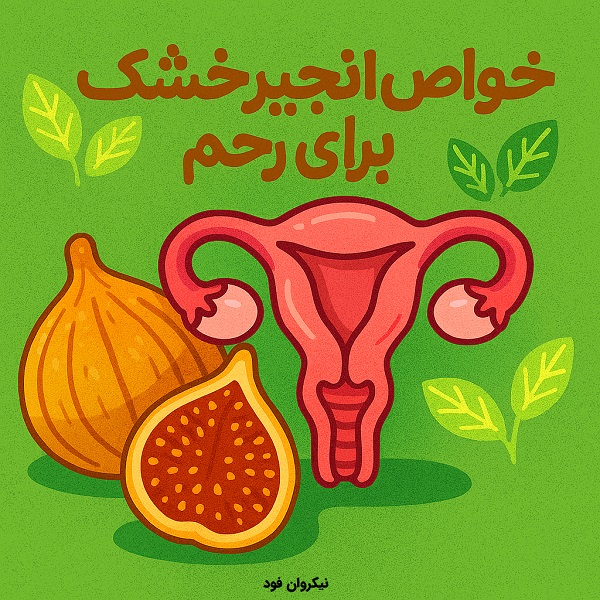 خواص انجیر خشک برای رحم